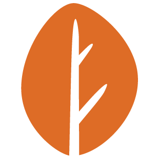 playlandtalk.com favicon